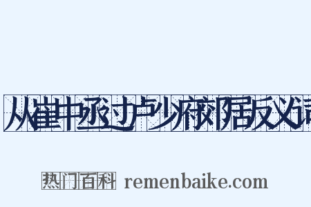 从崔中丞过卢少府郊居反义词是什么意思的图片